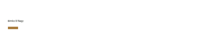 Šimko & Nagy logo